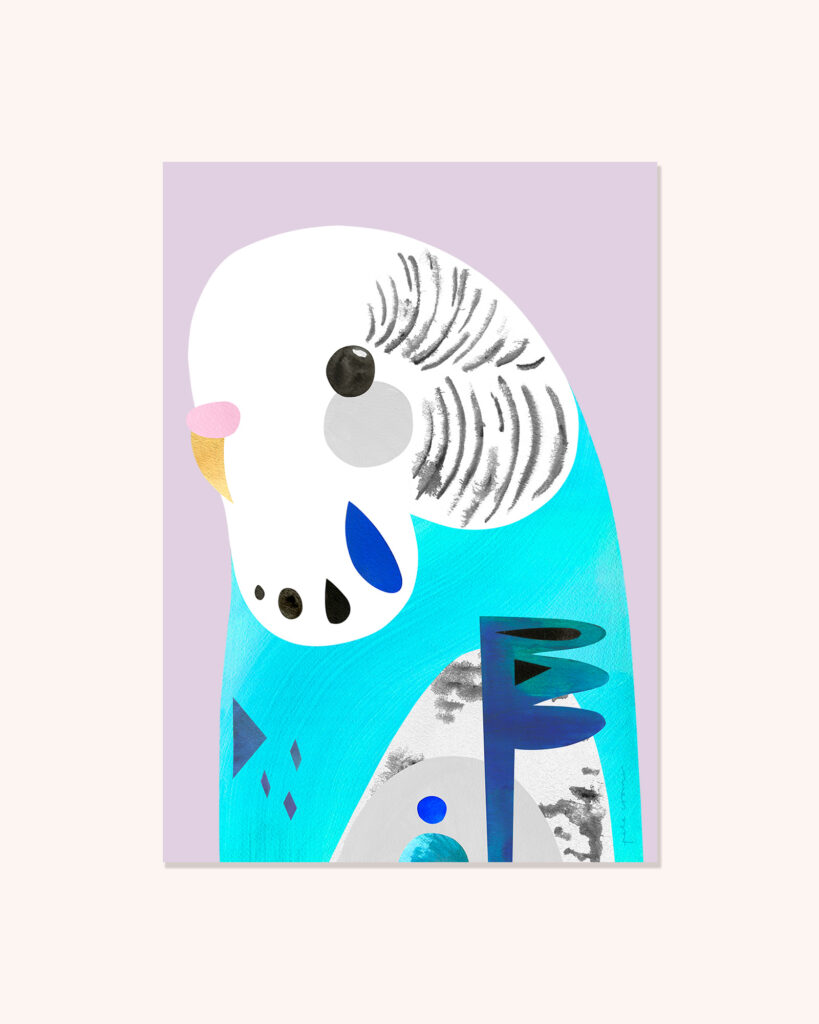 Blue Budgerigar