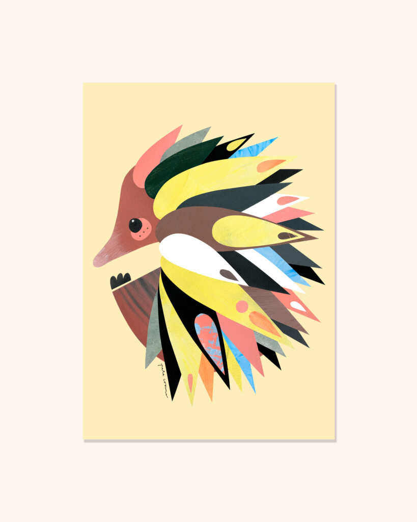 Echidna