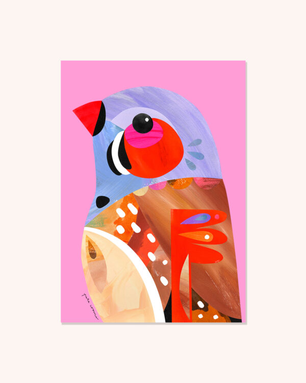 Zebra Finch