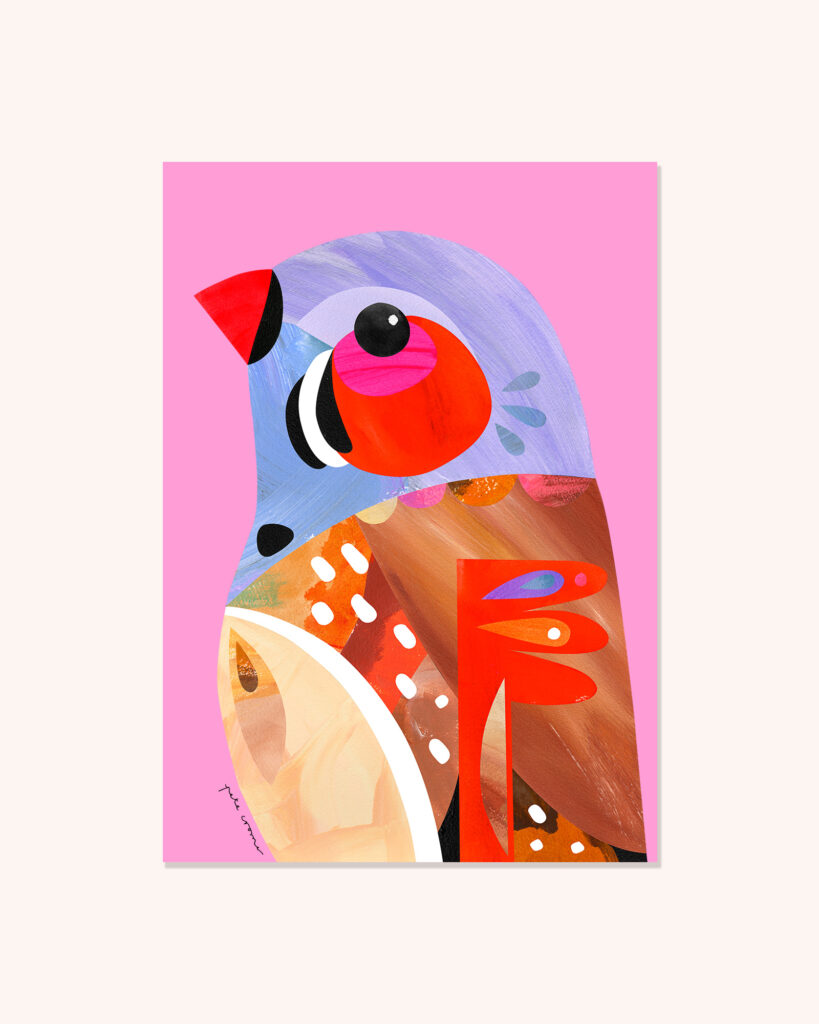 Zebra Finch