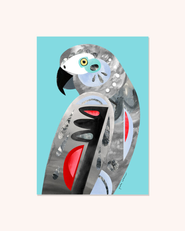 Grey Parrot