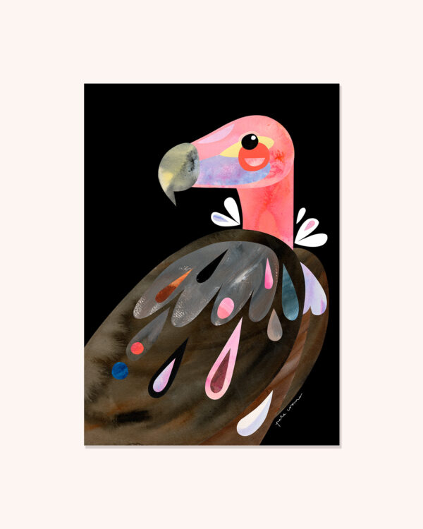 Lappet-Faced Vulture