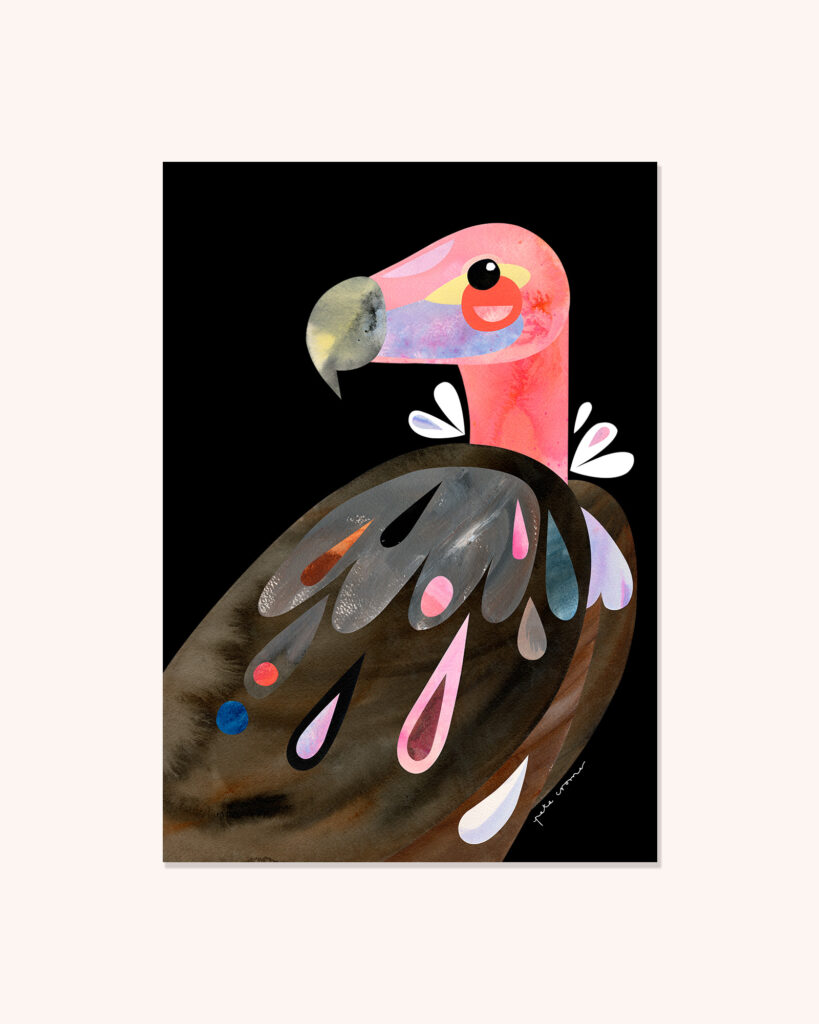 Lappet-Faced Vulture