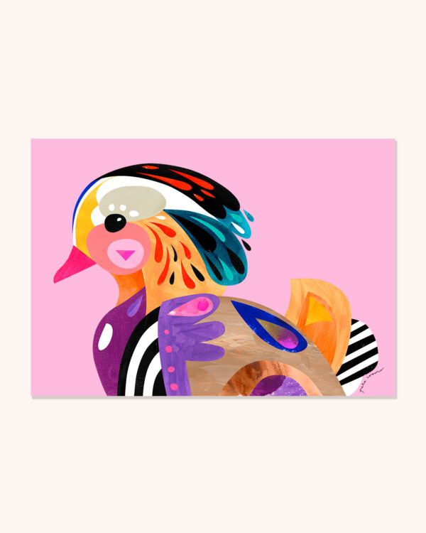 Mandarin Duck