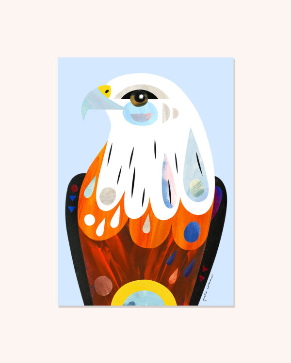 Brahminy Kite