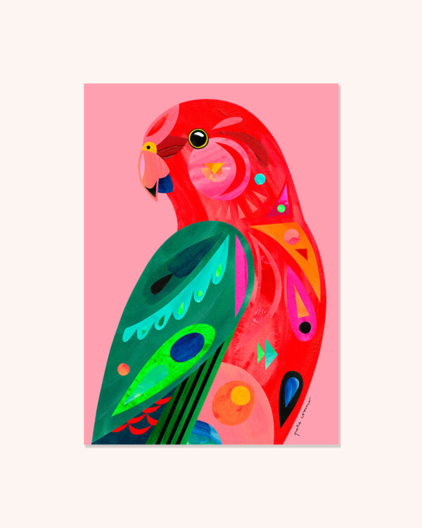 King Parrot