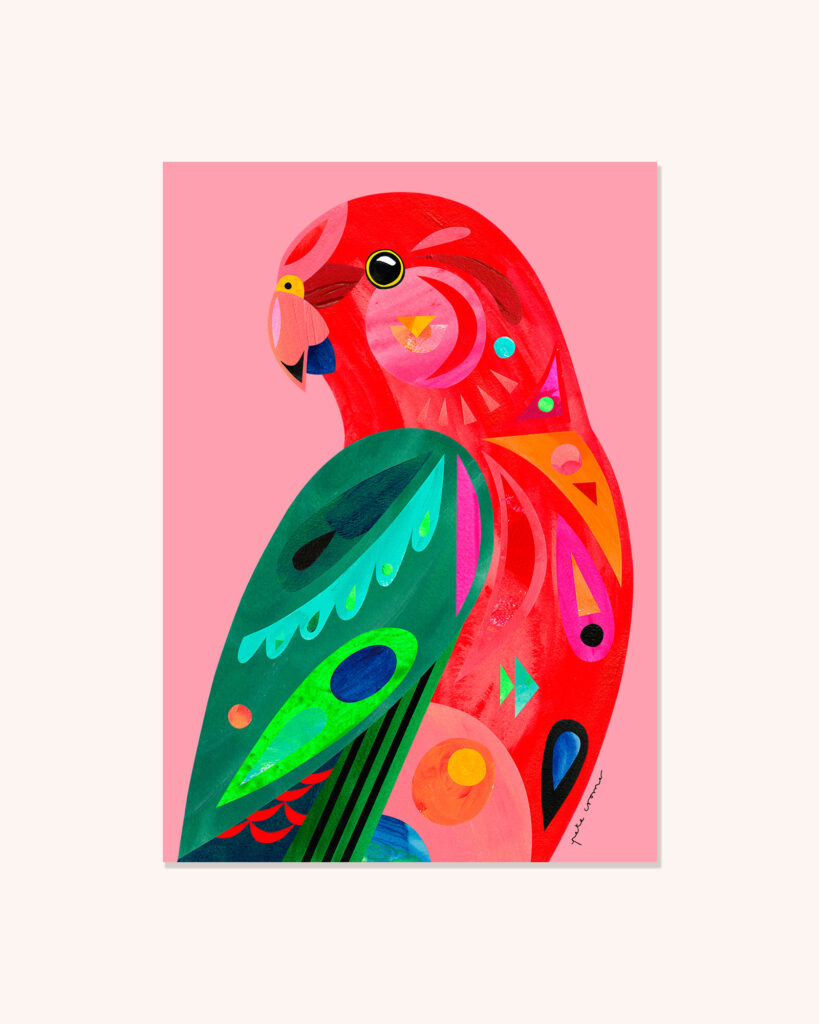 King Parrot