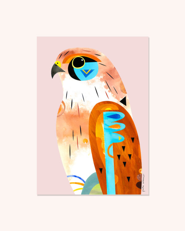 Nankeen Kestrel