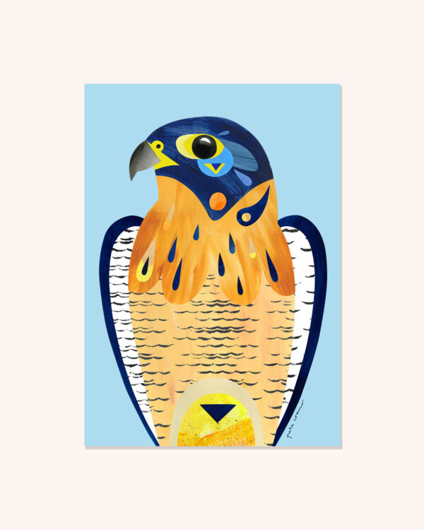 Peregrine Falcon