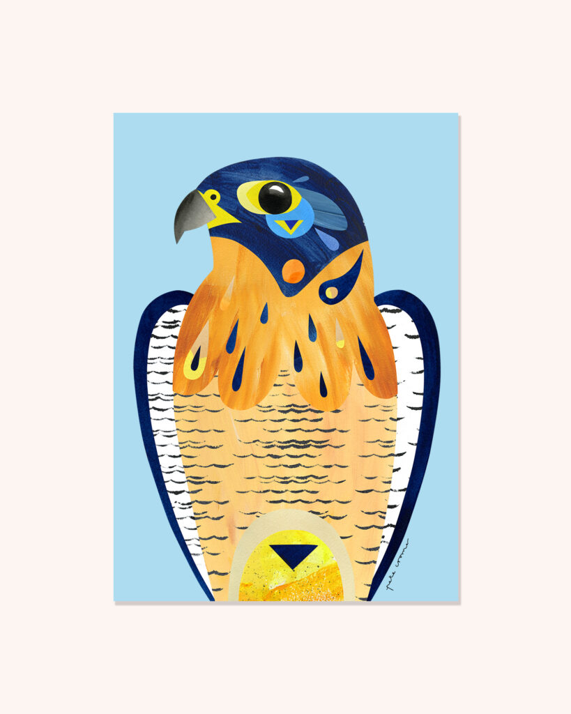 Peregrine Falcon