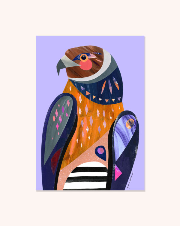 Spotted Harrier
