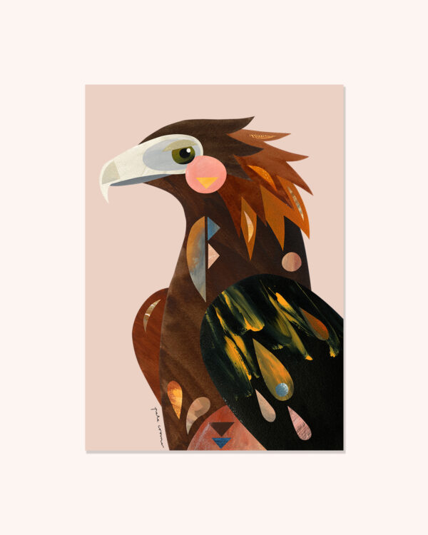 Wedge-tailed Eagle
