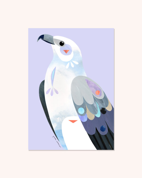 White-bellied Sea Eagle