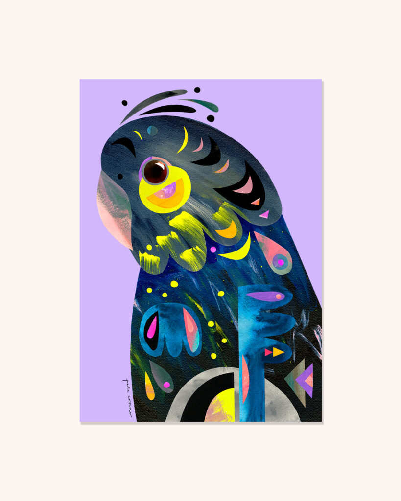 Glossy Black Cockatoo
