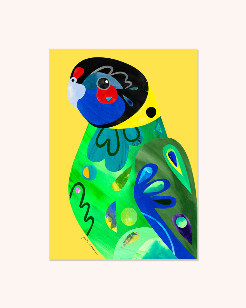 Australian Ringneck