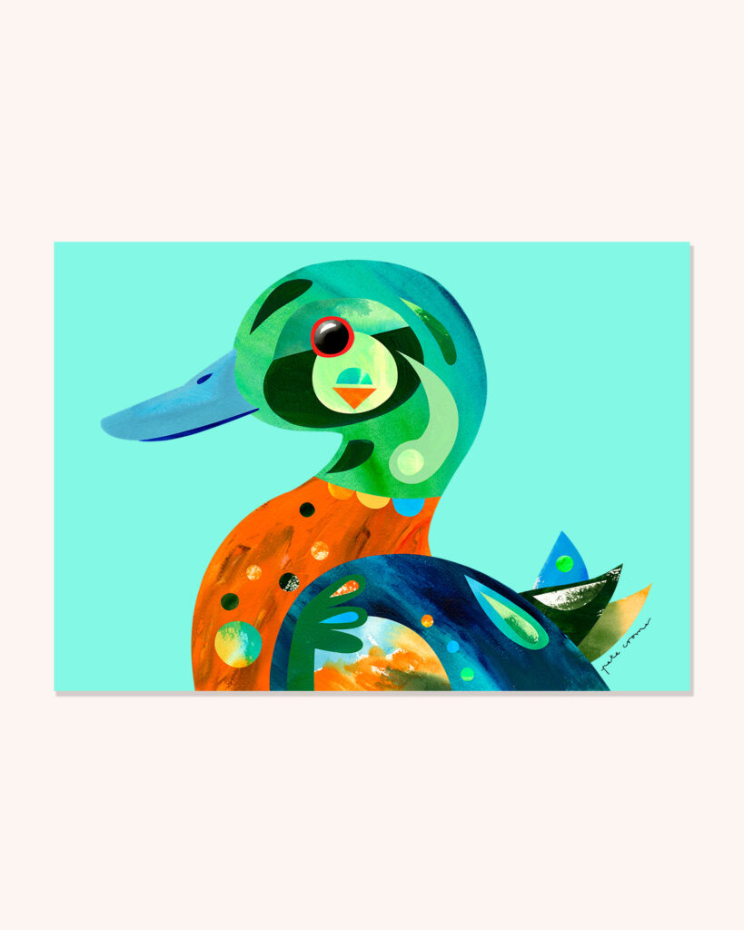 Chestnut Teal