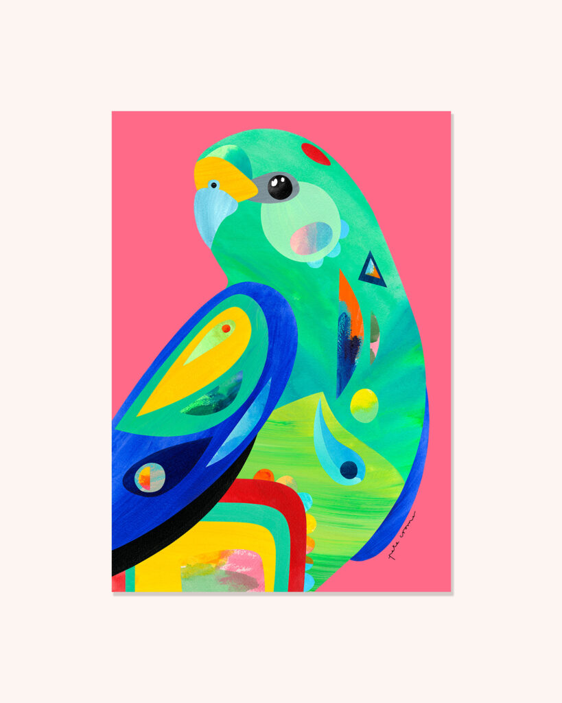Mulga Parrot