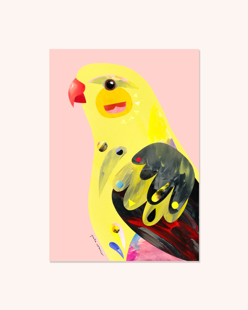 Regent Parrot