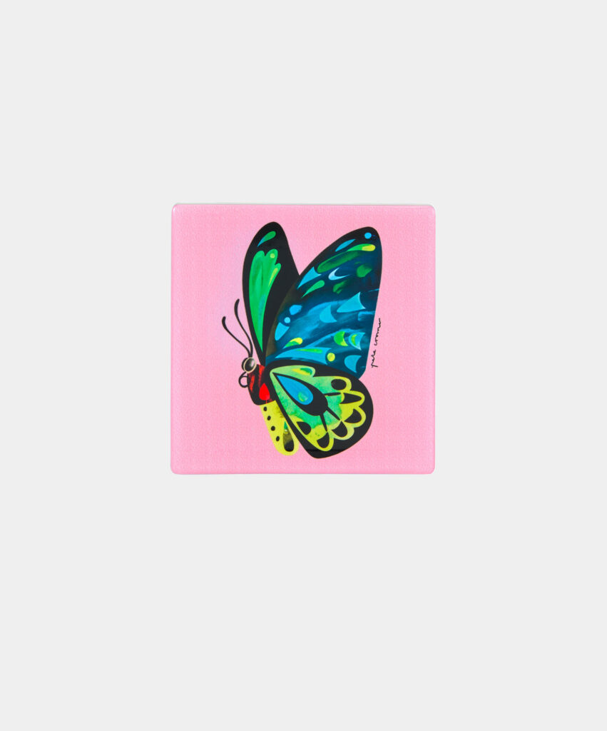 Butterfly Coaster