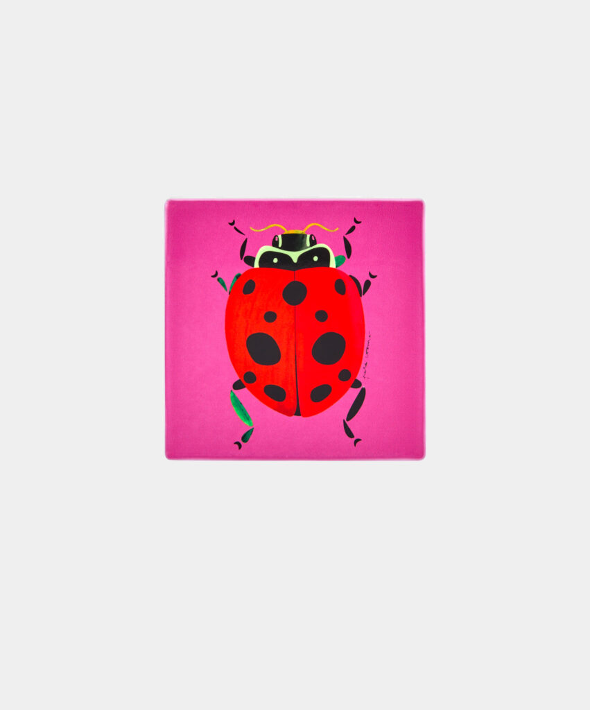 Ladybird Coaster