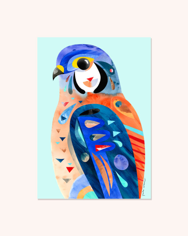 American Kestrel