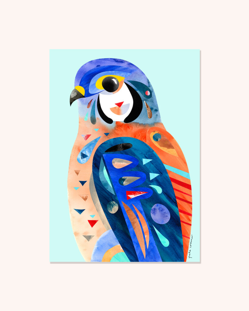 American Kestrel