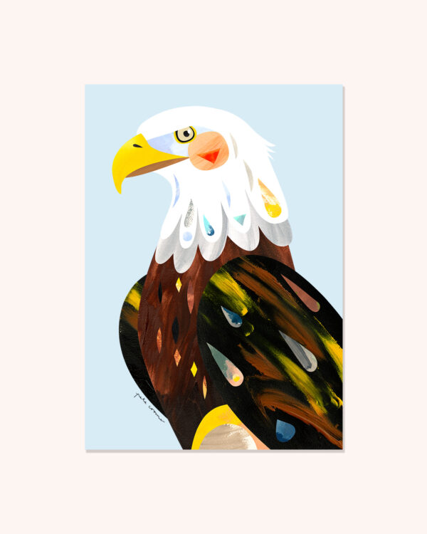 Bald Eagle