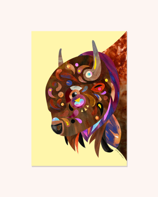 Bison