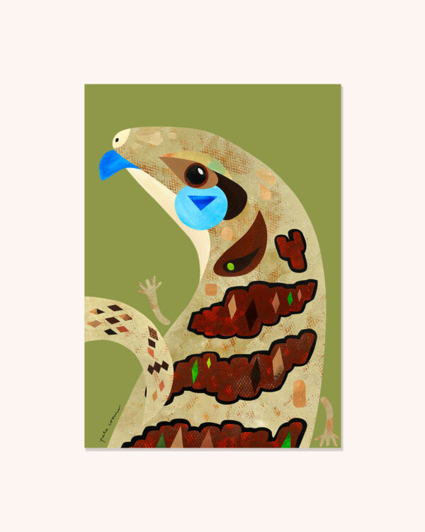 Blue Tongued Lizard