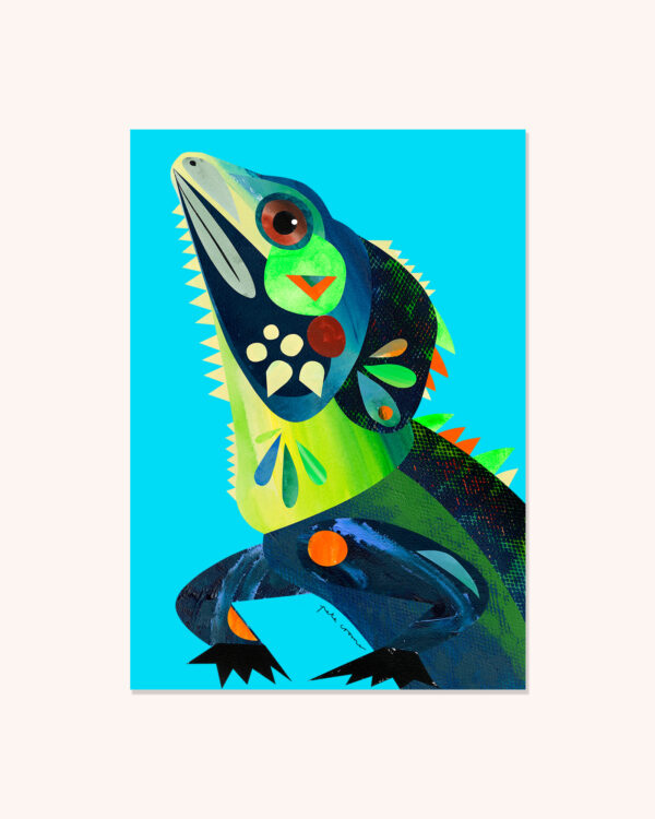 Boyd's Forest Dragon