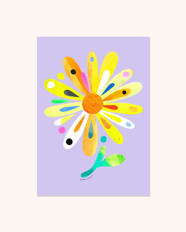 Bush Daisy