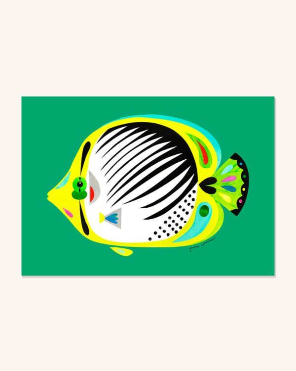 Butterflyfish
