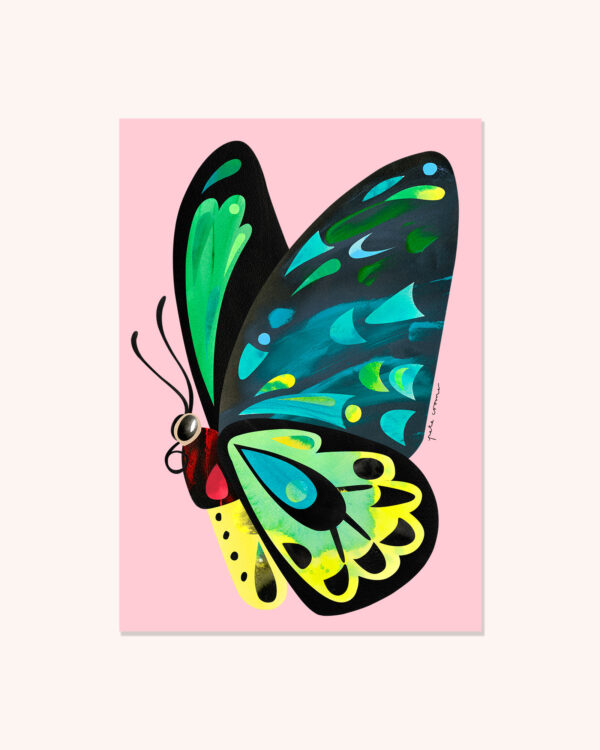Cairns Birdwing