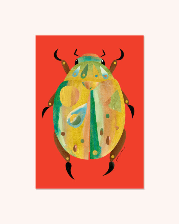 Christmas Beetle