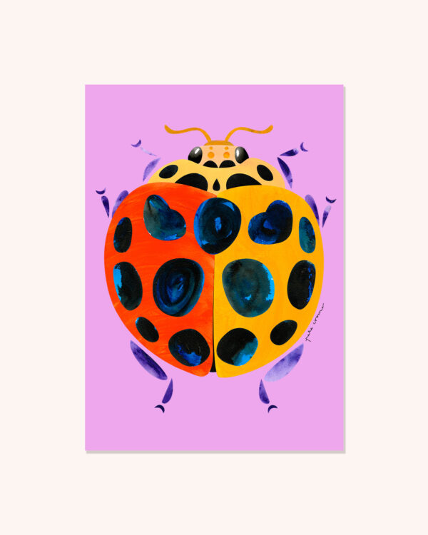 Common Spotted Ladybird