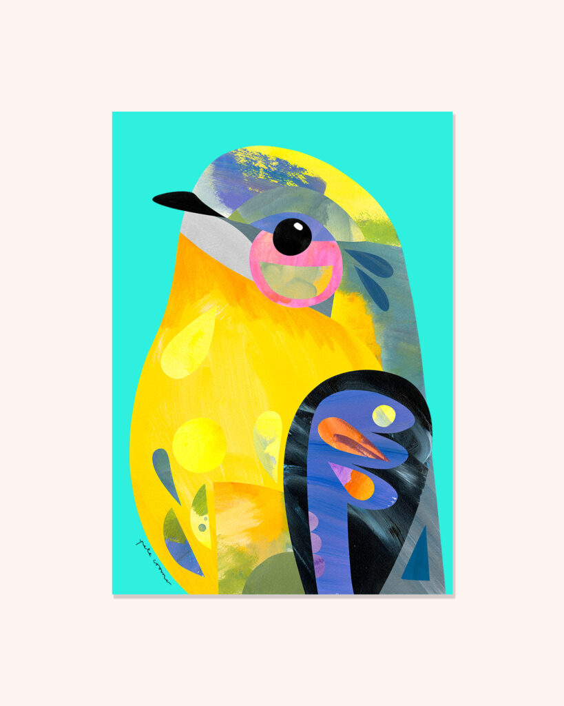 Eastern Yellow Robin