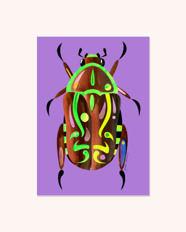 Fiddler Beetle