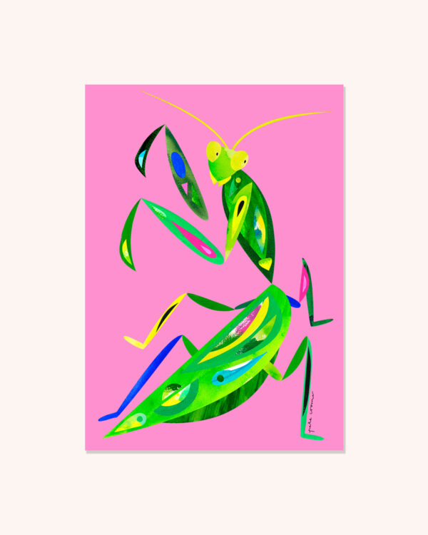 Garden Mantis