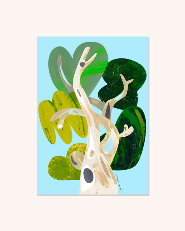 Ghost Gum