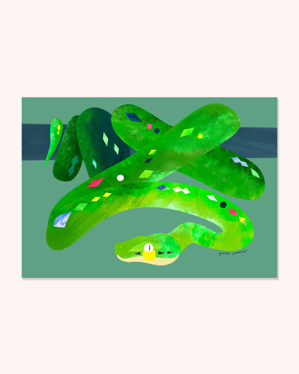 Green Tree Python