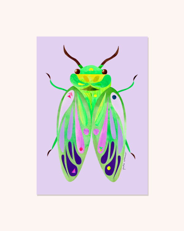 Greengrocer Cicada