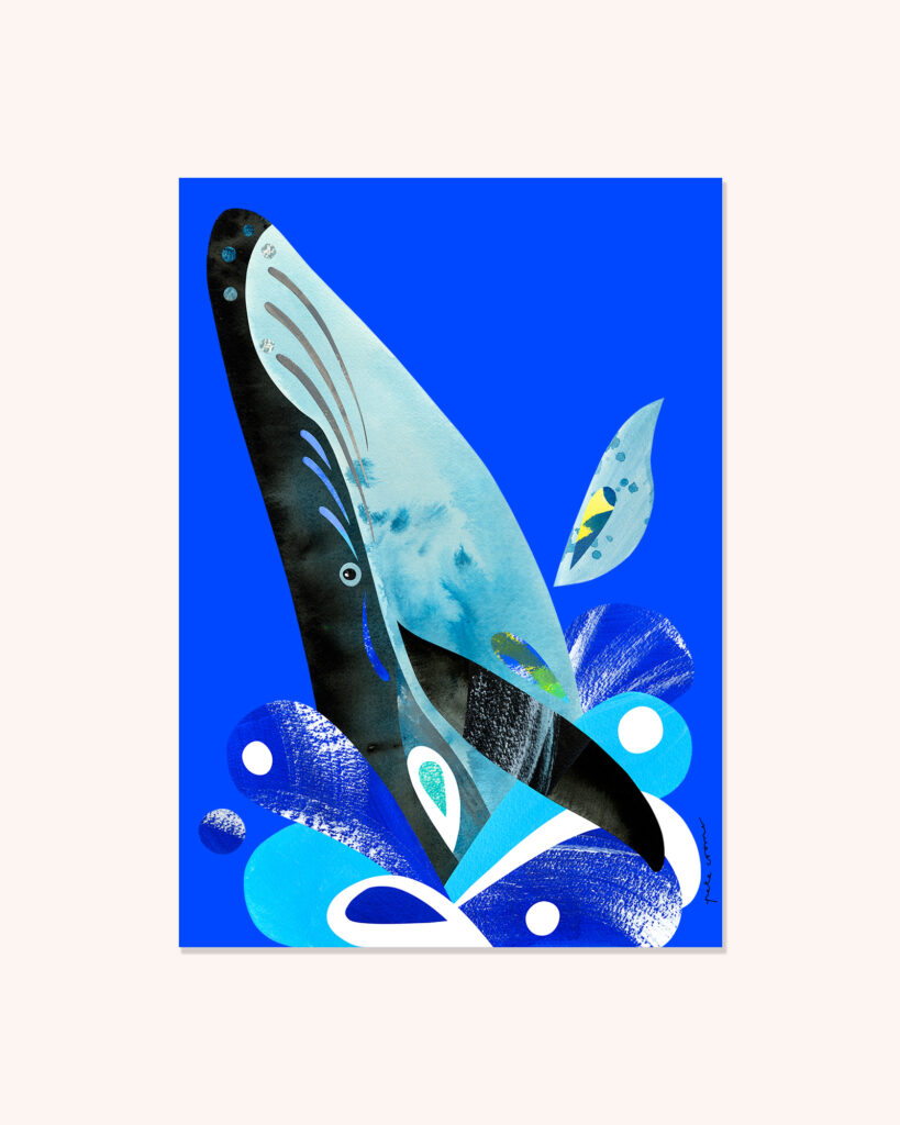 Humpback Whale