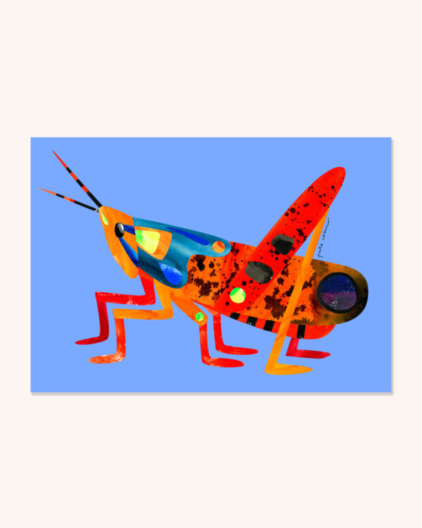 Leichhardt's Grasshopper