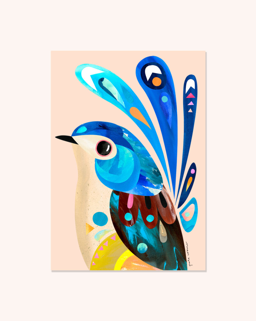 Lovely Fairy-wren