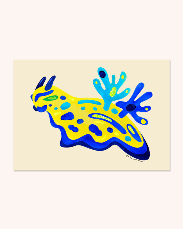 Nudibranch #2