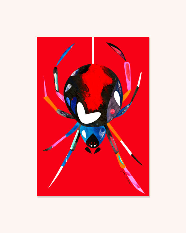 洋楽 RED SPIDER BAYSIDE JENNY LIVE CD RED SPIDER / #3.5 - FROG STORE