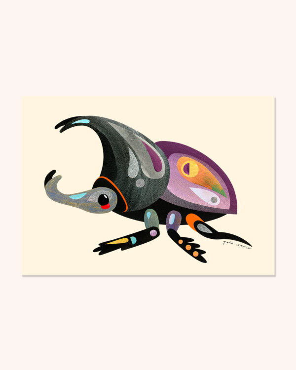 Rhinoceros Beetle