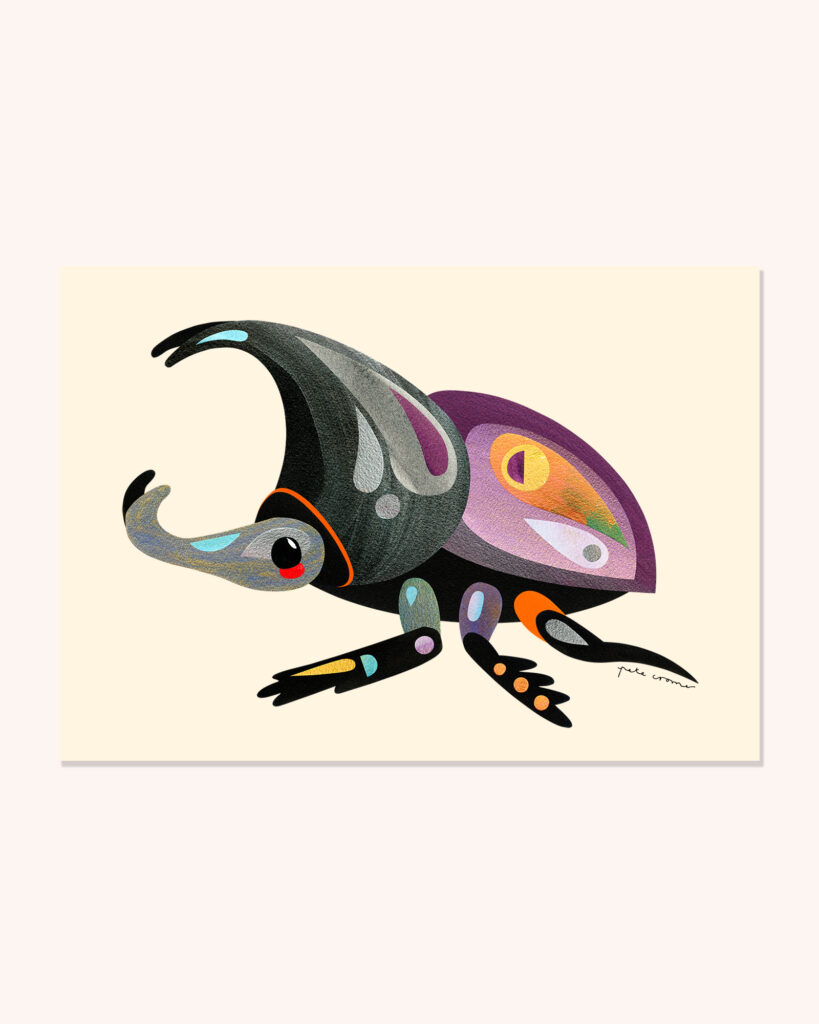 Rhinoceros Beetle