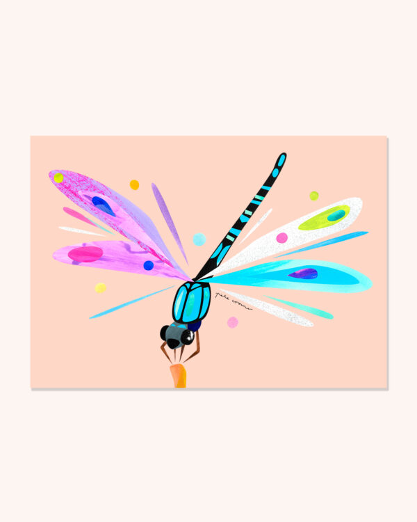 Sapphire Rockmaster Damselfly
