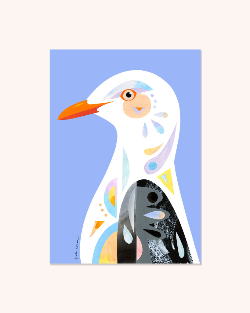 Silver Gull